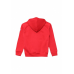 Худи GRAPHIC HOODIE ASICS Худи GRAPHIC HOODIE ASICS