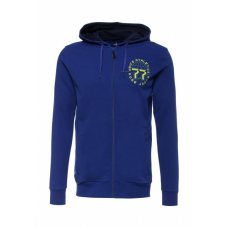 Толстовка TRAINING GRAPHIC FZ HOODIE ASICS