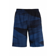 Шорты спортивные TECH GRAPHIC SHORT ASICS Шорты спортивные TECH GRAPHIC SHORT ASICS